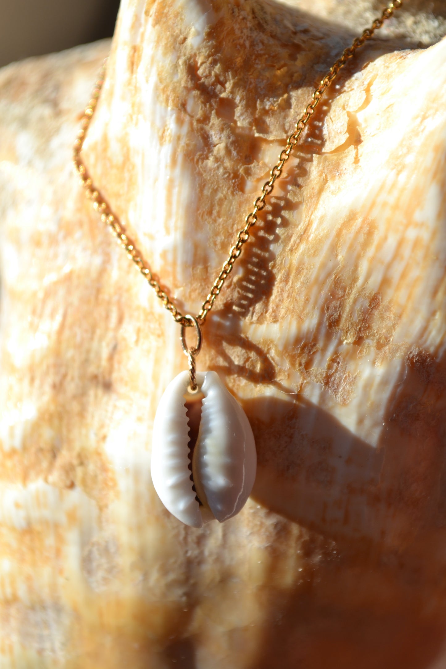 Tikehau – Collier Cauri de Polynésie – Plaqué or 18k – Collection MOANA