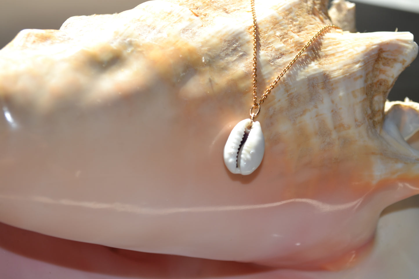 Tikehau – Collier Cauri de Polynésie – Plaqué or 18k – Collection MOANA