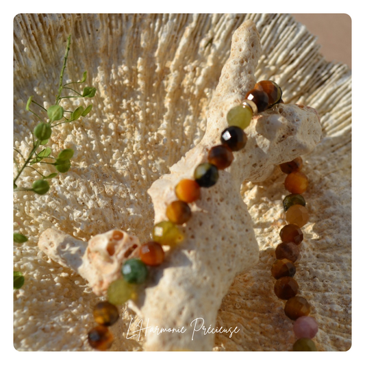 Compass – Bracelet – Œil de Tigre & Tourmaline – Plaqué or 18k – Nellie Bly